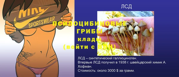 прущие грибы Аркадак