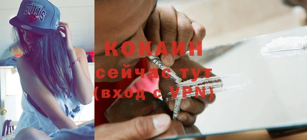 прущие грибы Аркадак
