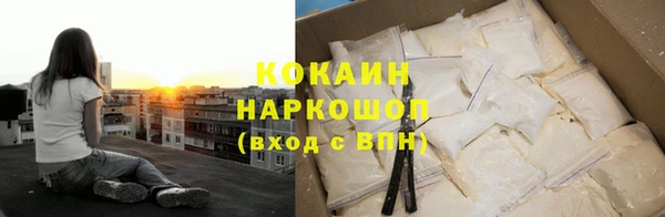прущие грибы Аркадак