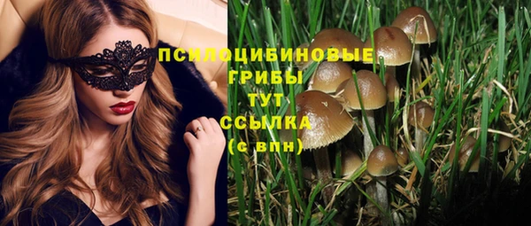 стаф Арсеньев