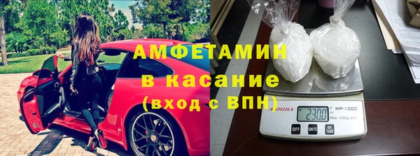 прущие грибы Аркадак