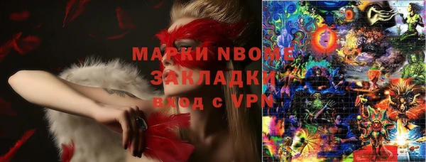 прущие грибы Аркадак
